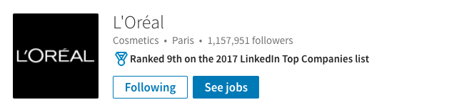 LinkedIn Company Page Overview