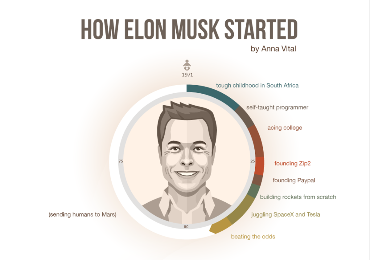 Elon Musk inforgraphic