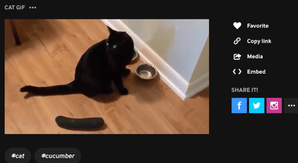 GIPHY GIF Maker - result