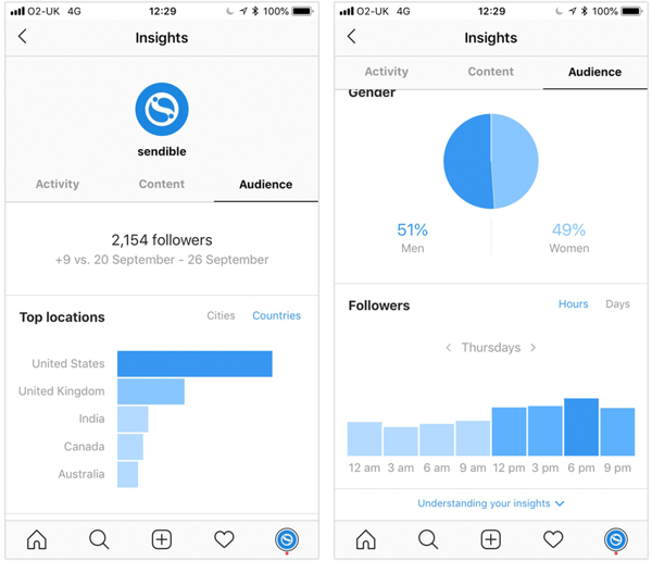 Instagram Insights Audience