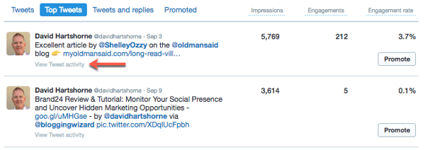 Twitter Analytics Tweet activity