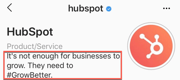 hubspot bio