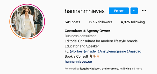 consultant + agency owner Instagram profile - hannah nieves