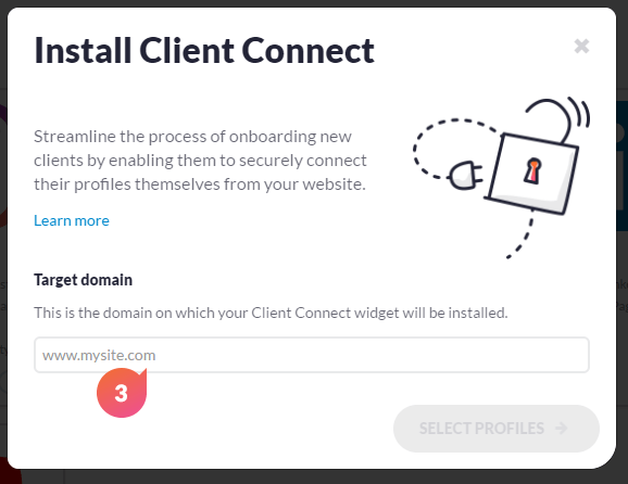 client-connect-widget-domain