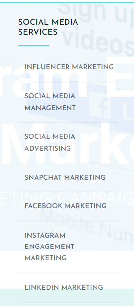 Social media 55 agency's social media packages for specific platforms