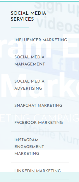 social media management services