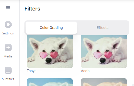 VEED.IO's video filters