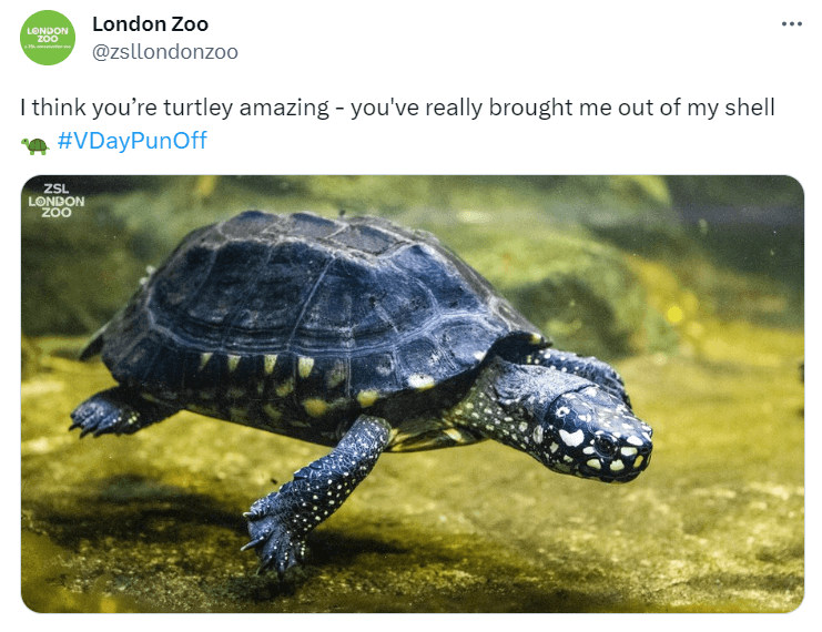 social-media-holidays-london-zoo-twitter-x-pun-day