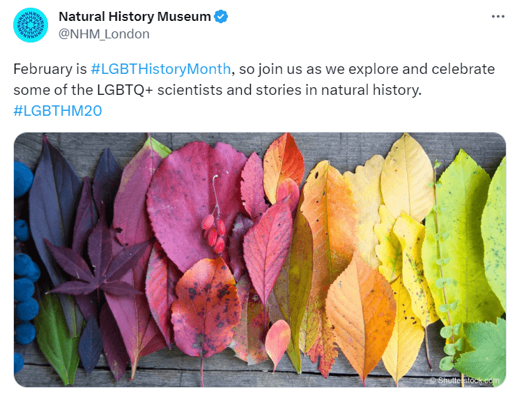 social-media-holidays-natural-history-museum-london-lgbt