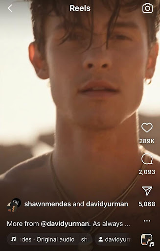 how-to-get-more-instagram-followers-shawnmendes-davidyurman