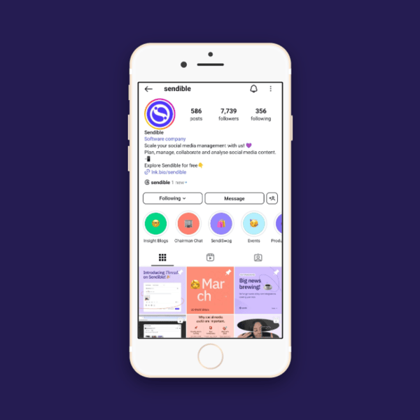 Instagram Highlights appear as round icons, as you can see on Sendible’s profile, with “Internet Blogs”, “Chairman Chat”, “SendiSwag”, and “Events” 