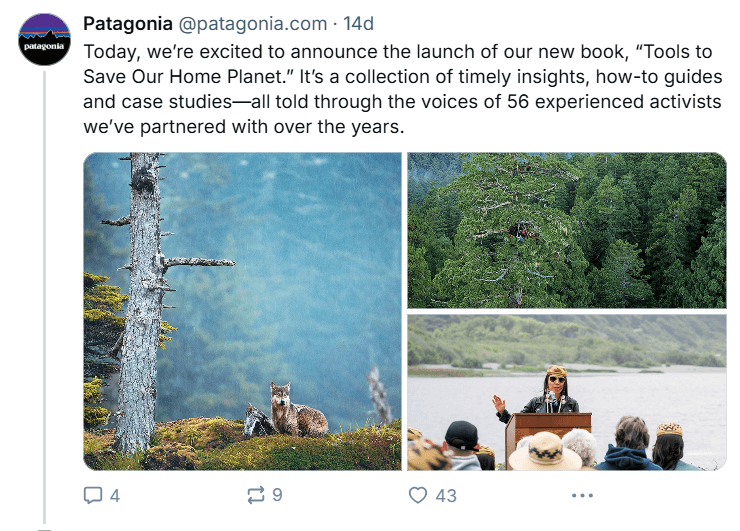 what-to-post-on-bluesky-header-patagonia