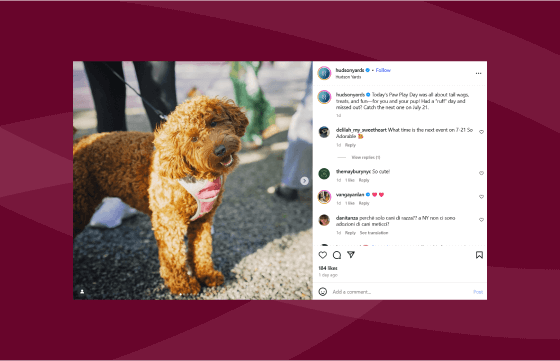 social-media-visuals-for-property-managers-header-image-new-1