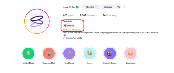 Sendible’s Instagram profile showing “Software Company” — the label that confirms it’s a Professional account.