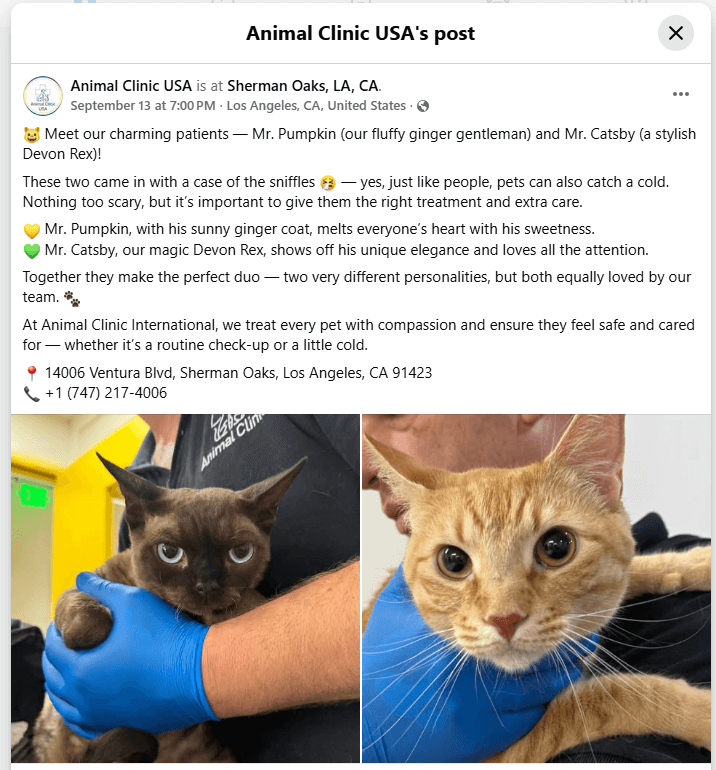 social-media-for-veterinary-professionals-animal-clinic-usa
