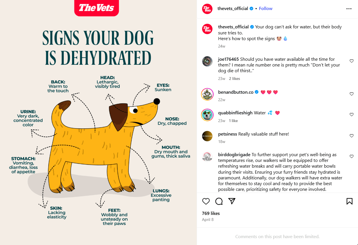 social-media-for-veterinary-professionals-the-vets-instagram (1)