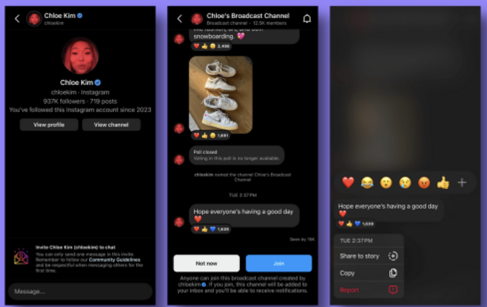 How to Create and Use Instagram Broadcast Channels chloe kim broadcast channel example screenshots
