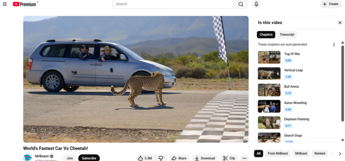 youtube timestamp link MrBeast Timestamp