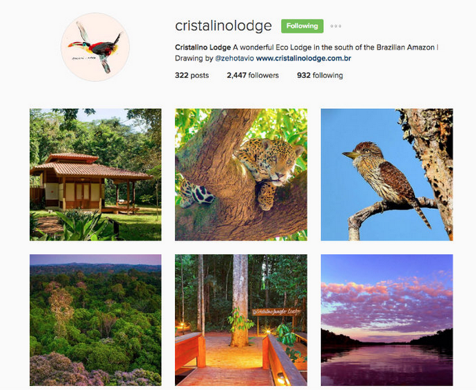 social media for hotels cristalinolodge