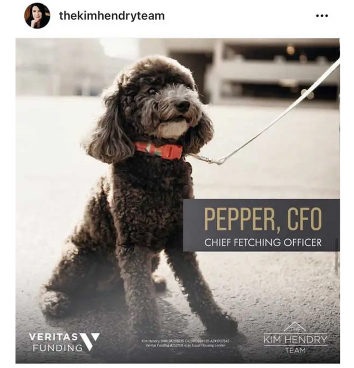 mortgage marketing companies  kimhendry