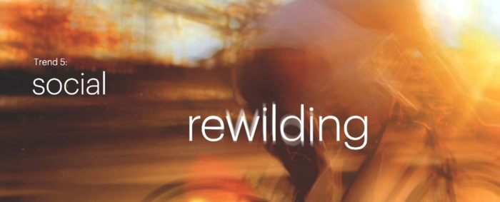 mortgage marketing companies social rewilding