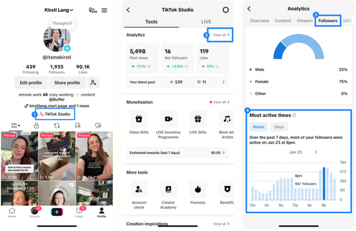 tiktok for business tiktok studio