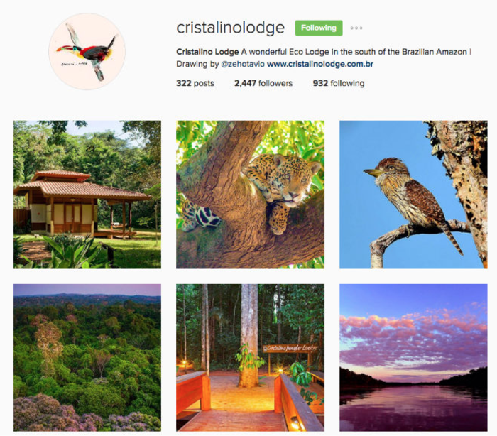 hotel-industry-marketing-trends cristalinolodge