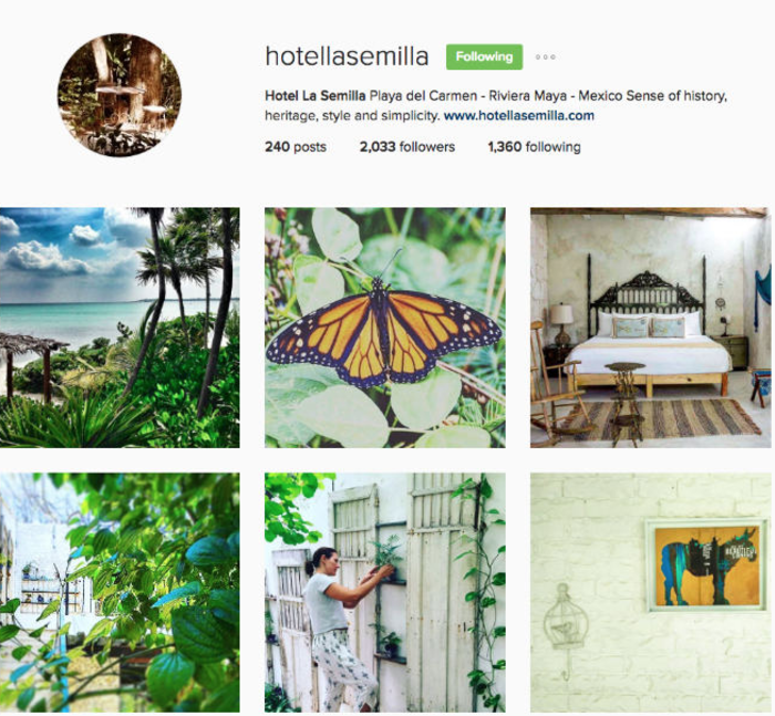 social media for hotels hotel la semilla playa del carmen