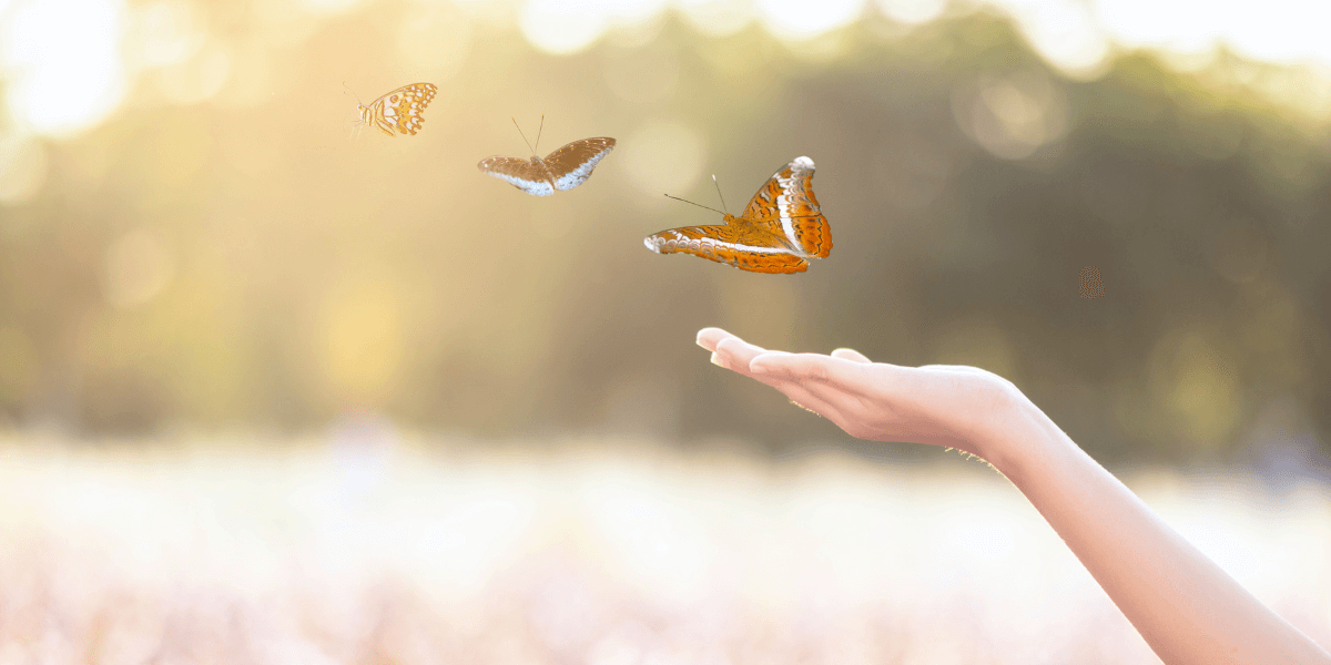 What is Bluesky Social? Marketer’s Guide