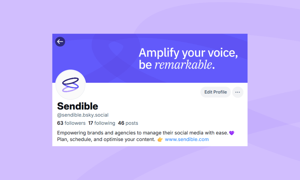 What is Bluesky? A Social Media Marketing Guide for Businesses