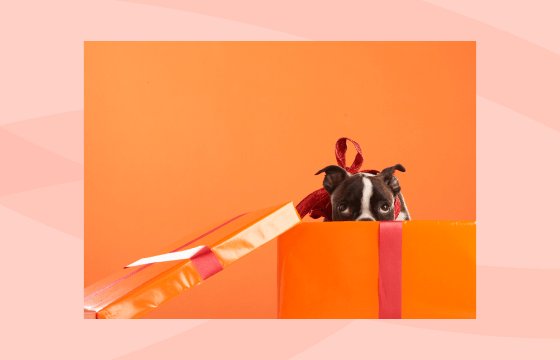 What to Offer in Social Media Management Packages for Clients: 10 Examples